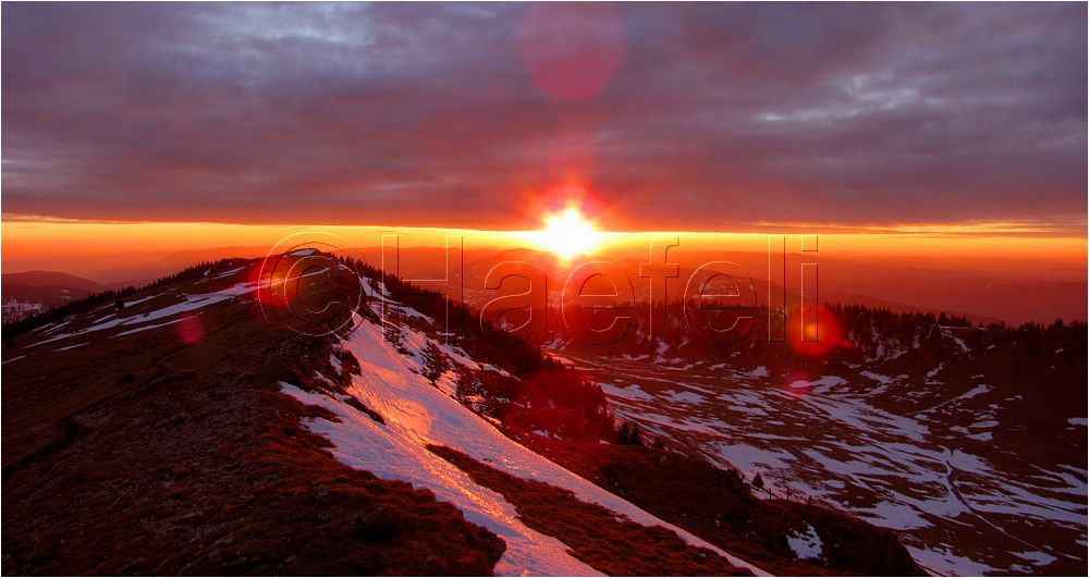 11_sunrise_set_133.jpg