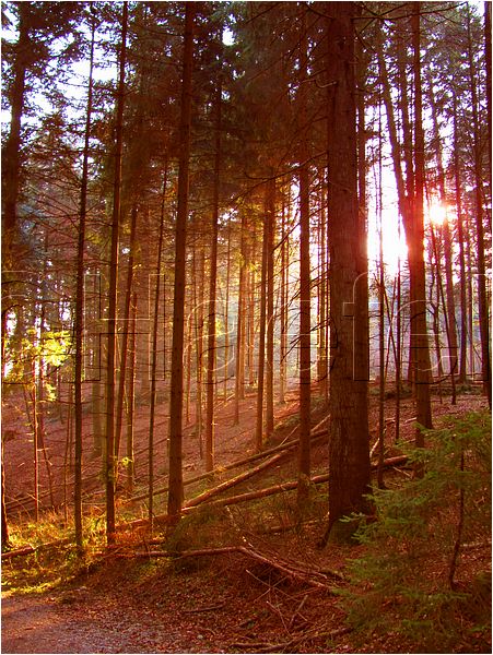 11_sunrise_set_152.jpg