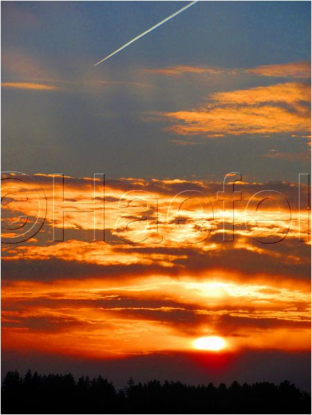 11_sunrise_set_153.jpg