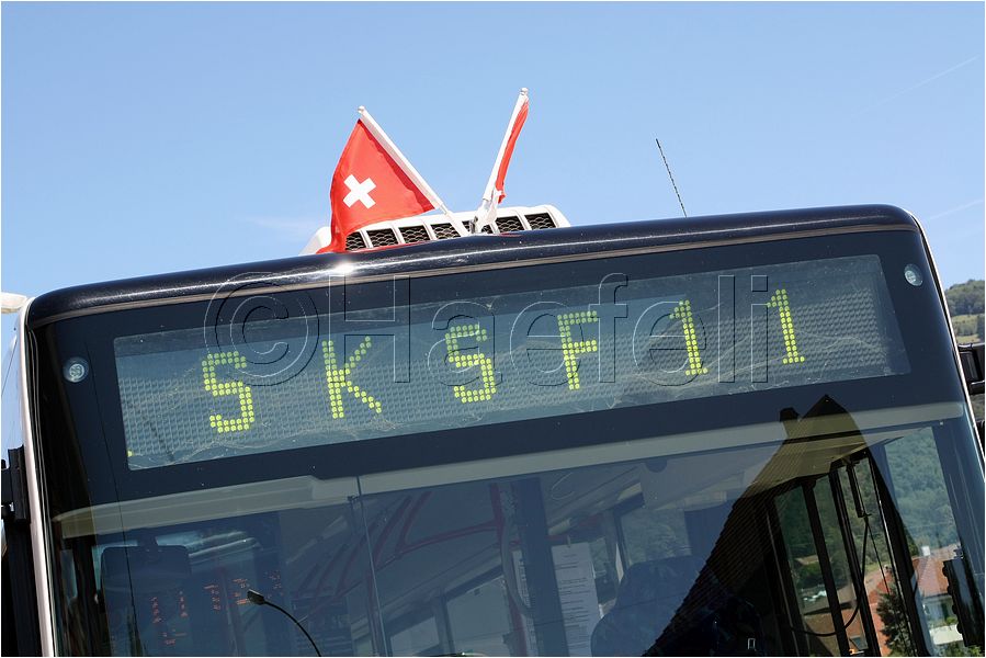 2334.jpg