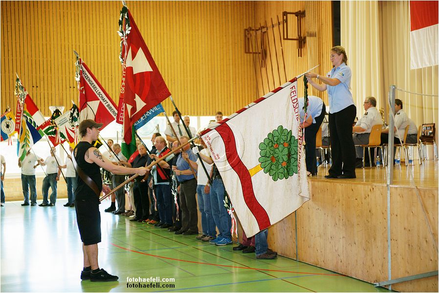 3181.jpg