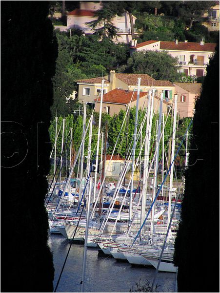 01_stmandrine_066.jpg