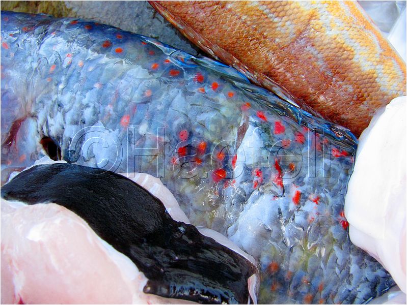 01_stmandrine_105.jpg