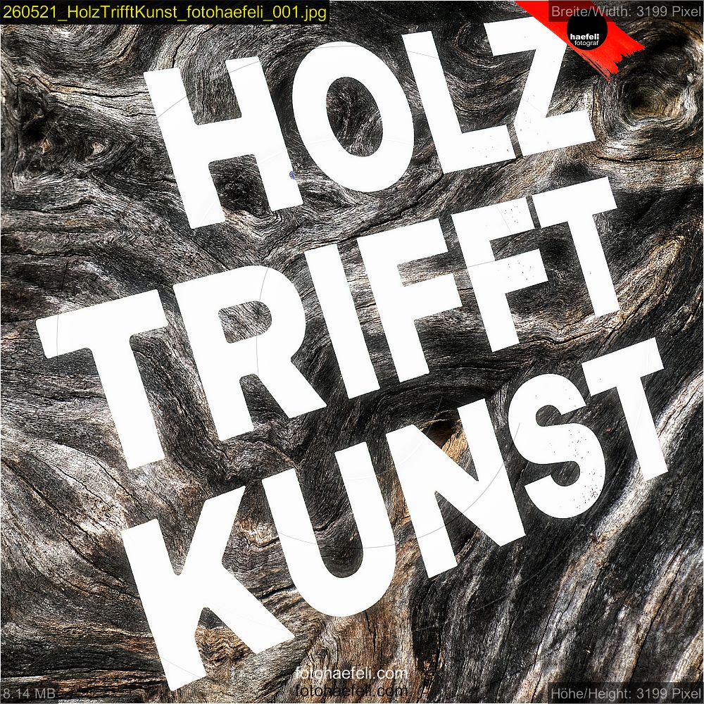 260521_HolzTrifftKunst_fotohaefeli_001.jpg