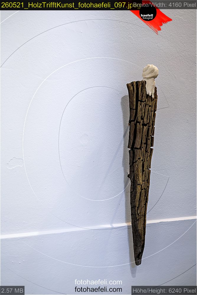 260521_HolzTrifftKunst_fotohaefeli_097.jpeg