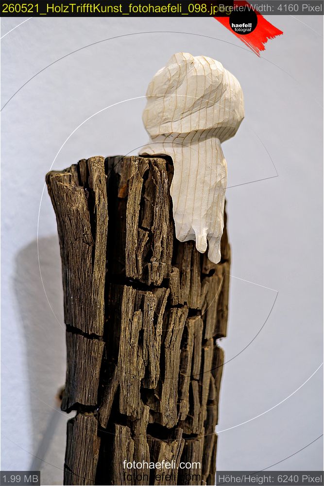 260521_HolzTrifftKunst_fotohaefeli_098.jpeg