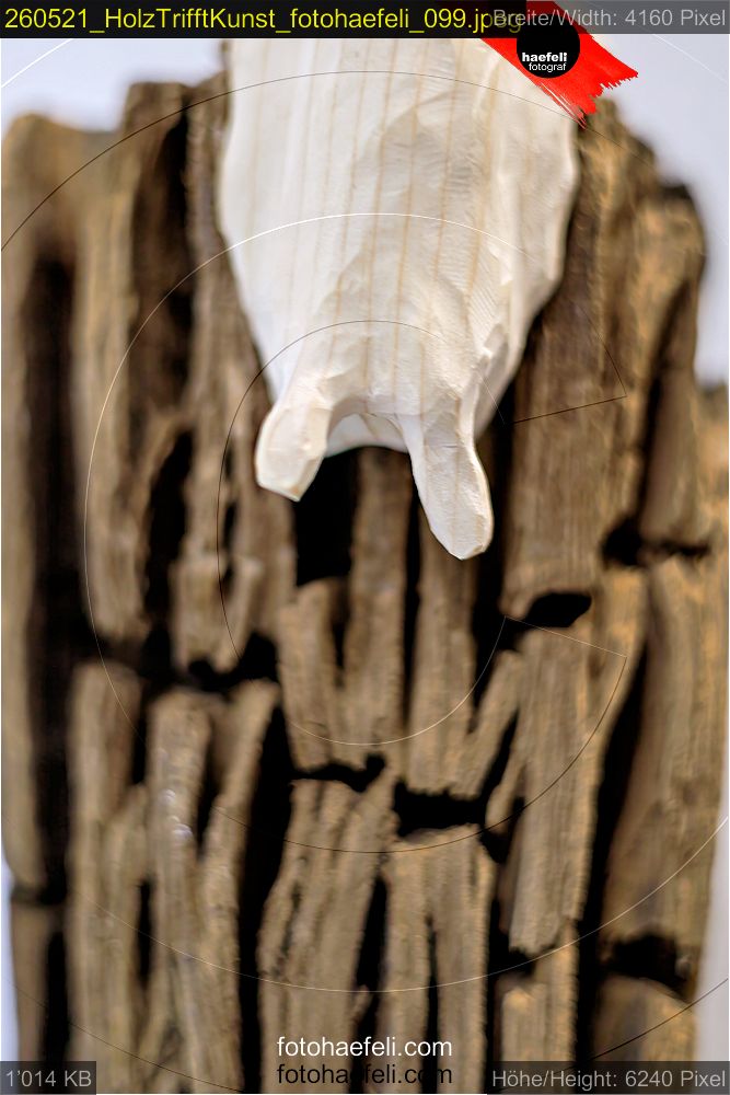 260521_HolzTrifftKunst_fotohaefeli_099.jpeg