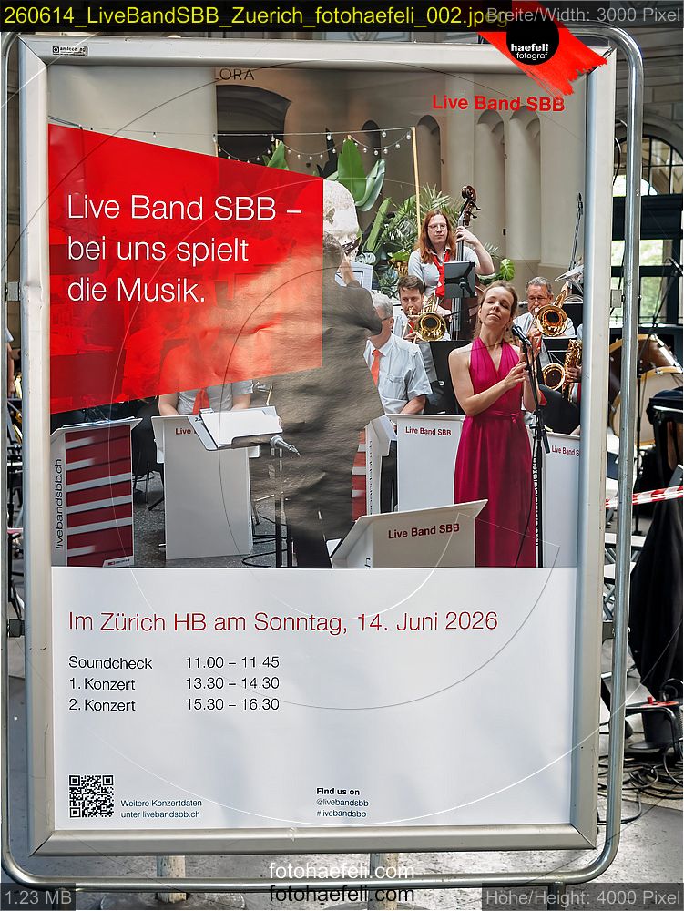 260614_LiveBandSBB_Zuerich_fotohaefeli_002.jpeg