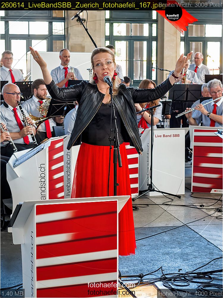 260614_LiveBandSBB_Zuerich_fotohaefeli_167.jpeg