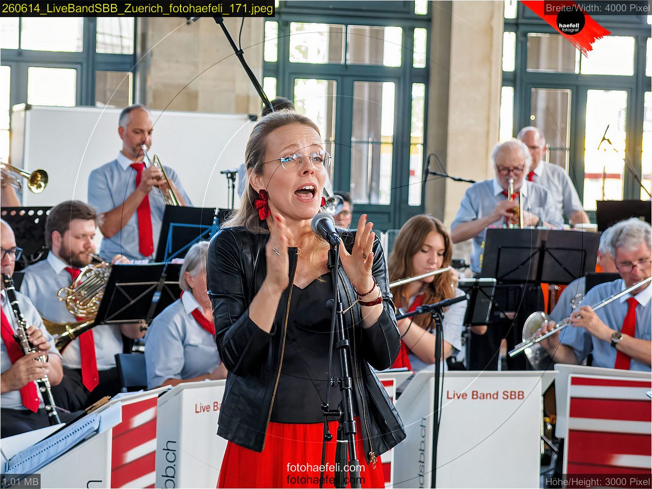 260614_LiveBandSBB_Zuerich_fotohaefeli_171.jpeg