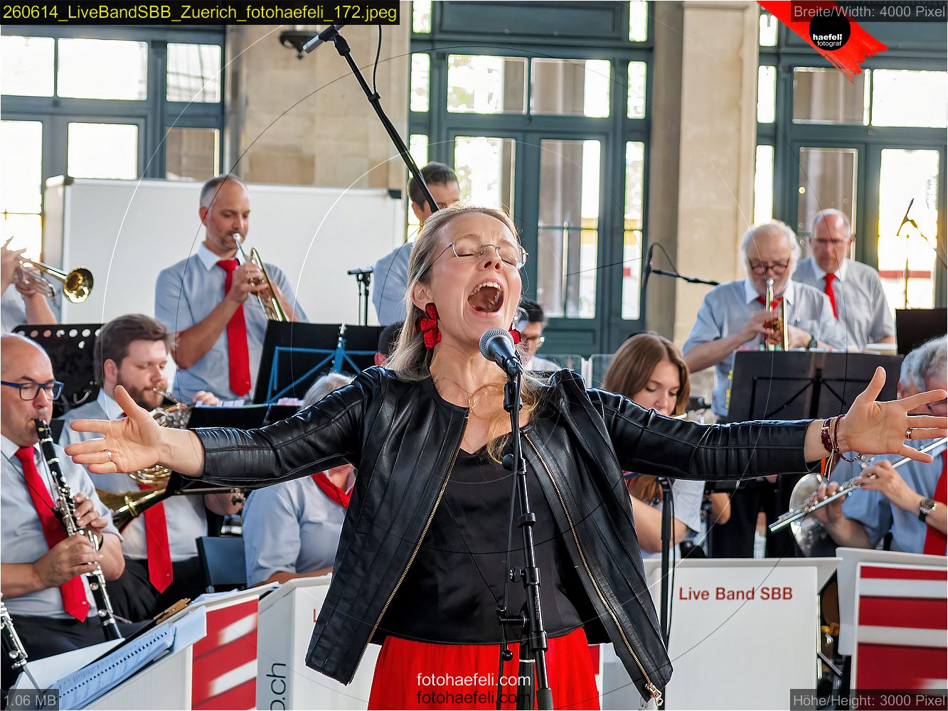260614_LiveBandSBB_Zuerich_fotohaefeli_172.jpeg