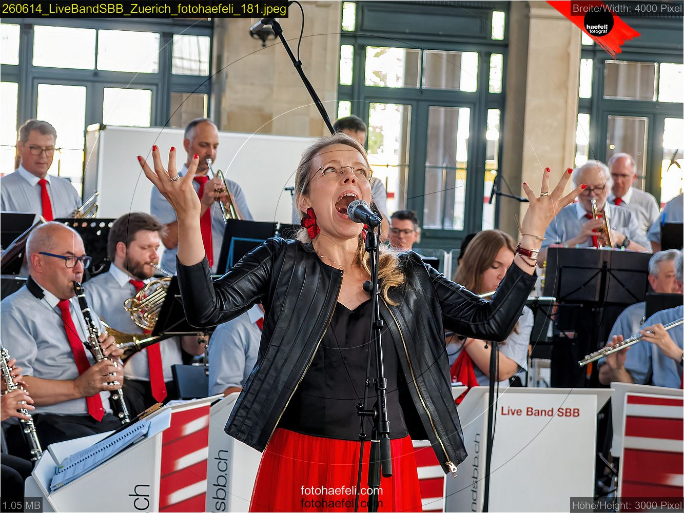 260614_LiveBandSBB_Zuerich_fotohaefeli_181.jpeg