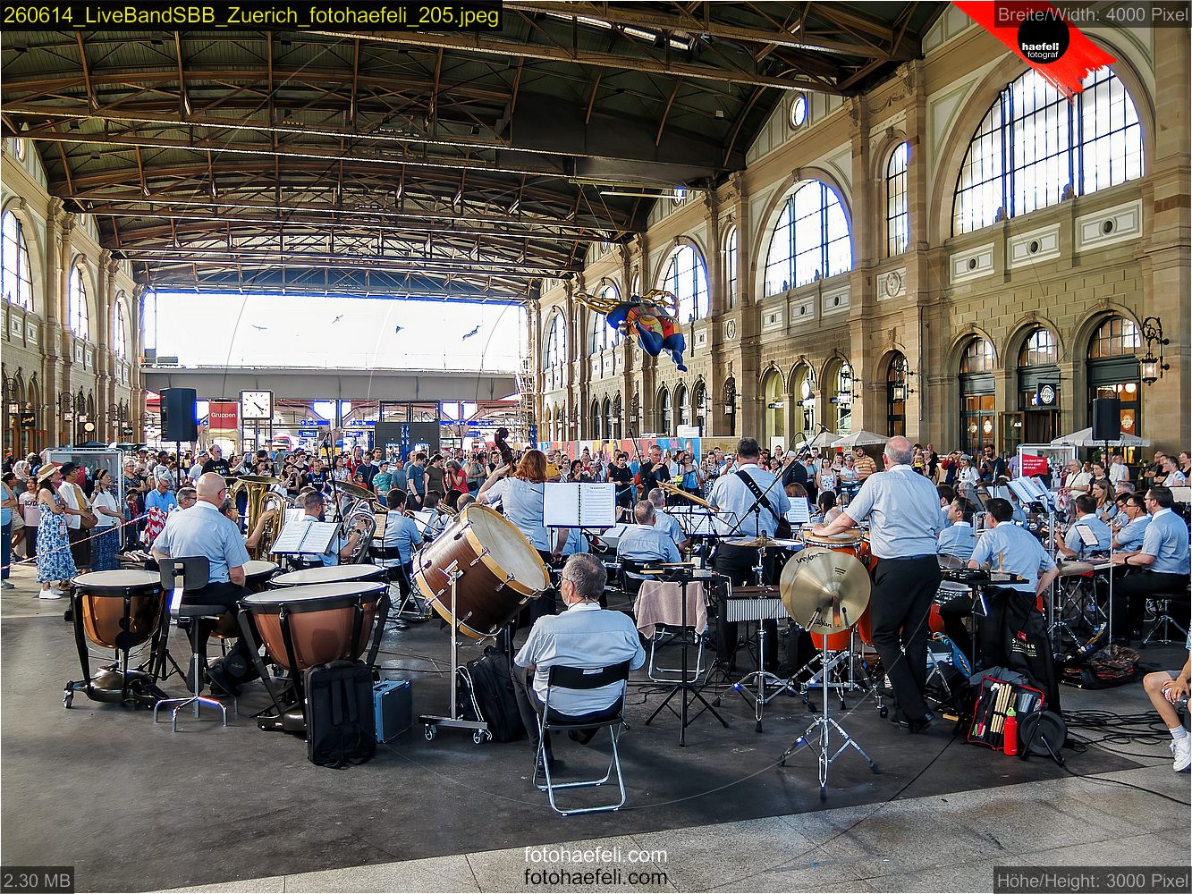 260614_LiveBandSBB_Zuerich_fotohaefeli_205.jpeg