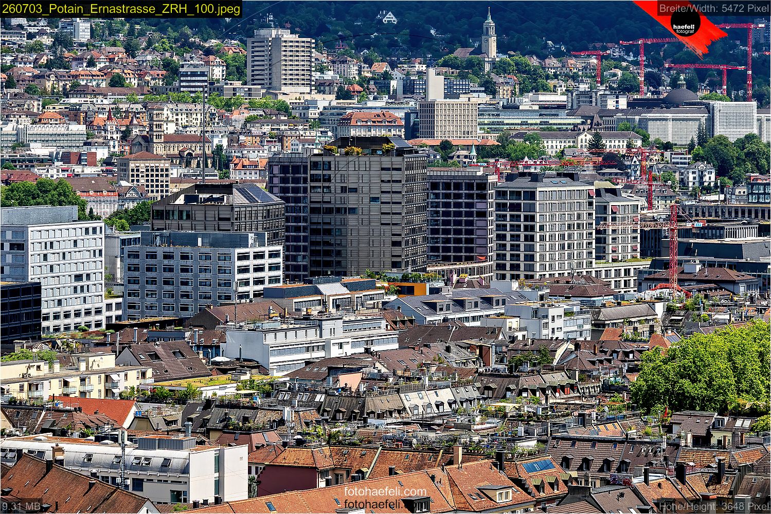 260703_Potain_Ernastrasse_ZRH_100.jpeg