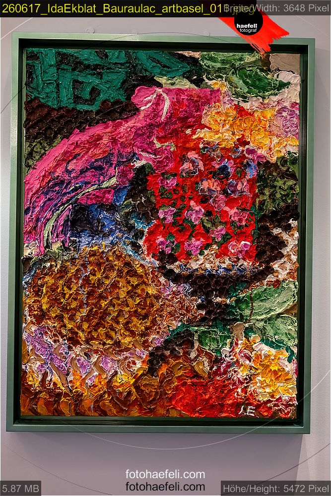 260617_IdaEkblat_Bauraulac_artbasel_011.jpeg