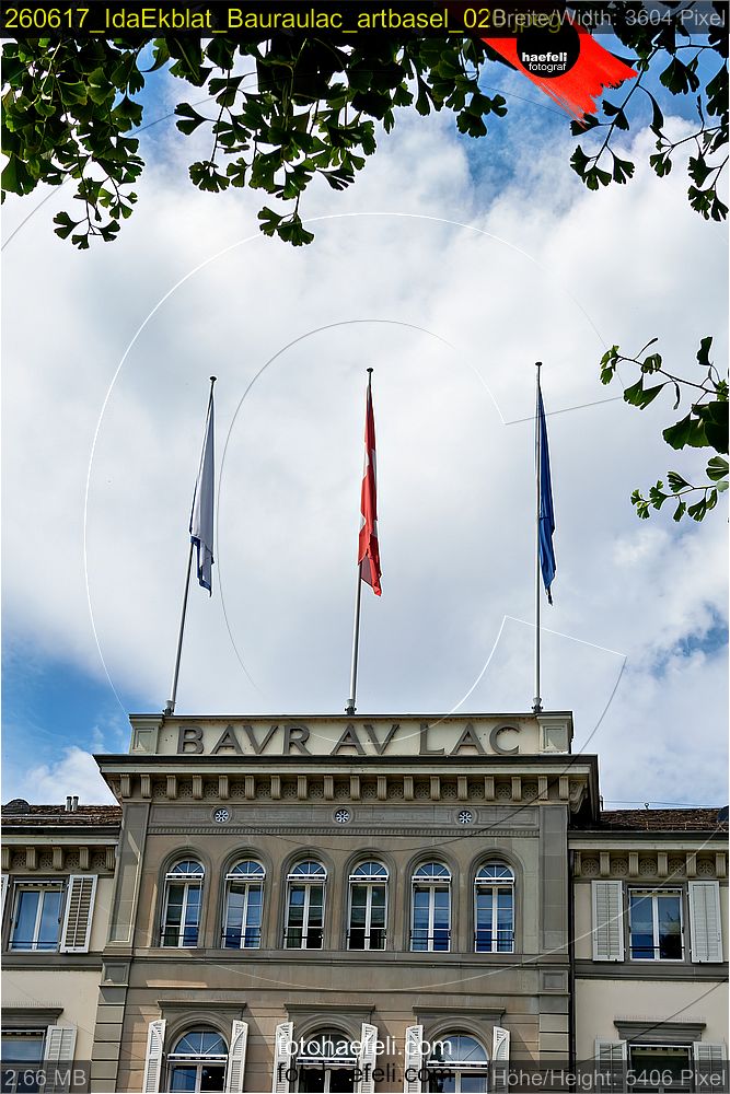 260617_IdaEkblat_Bauraulac_artbasel_020.jpeg