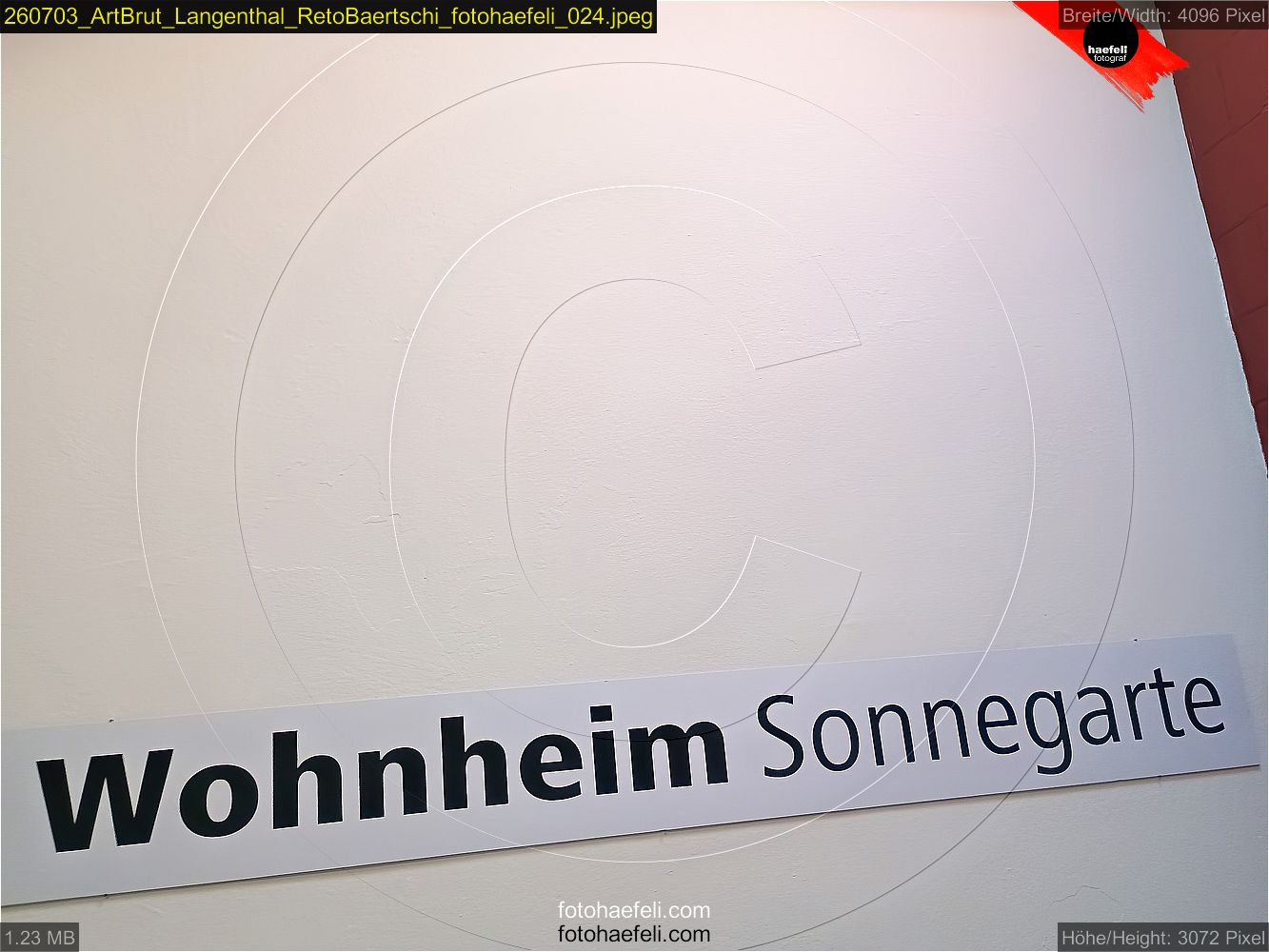260703_ArtBrut_Langenthal_RetoBaertschi_fotohaefeli_024.jpeg