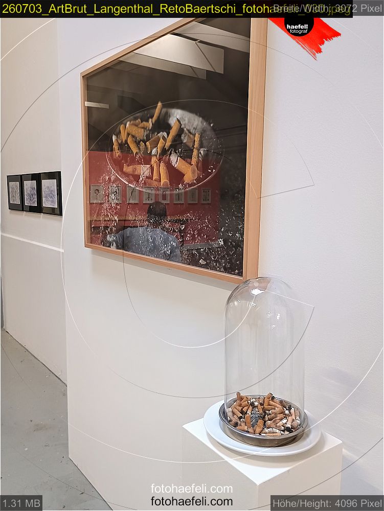 260703_ArtBrut_Langenthal_RetoBaertschi_fotohaefeli_030.jpeg