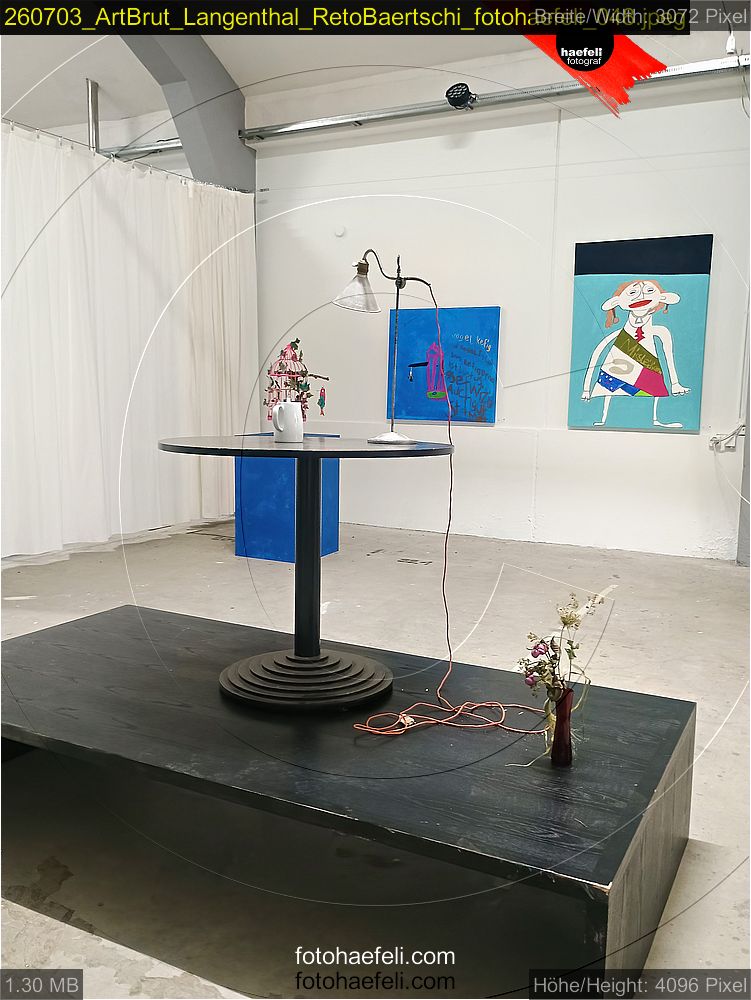 260703_ArtBrut_Langenthal_RetoBaertschi_fotohaefeli_048.jpeg