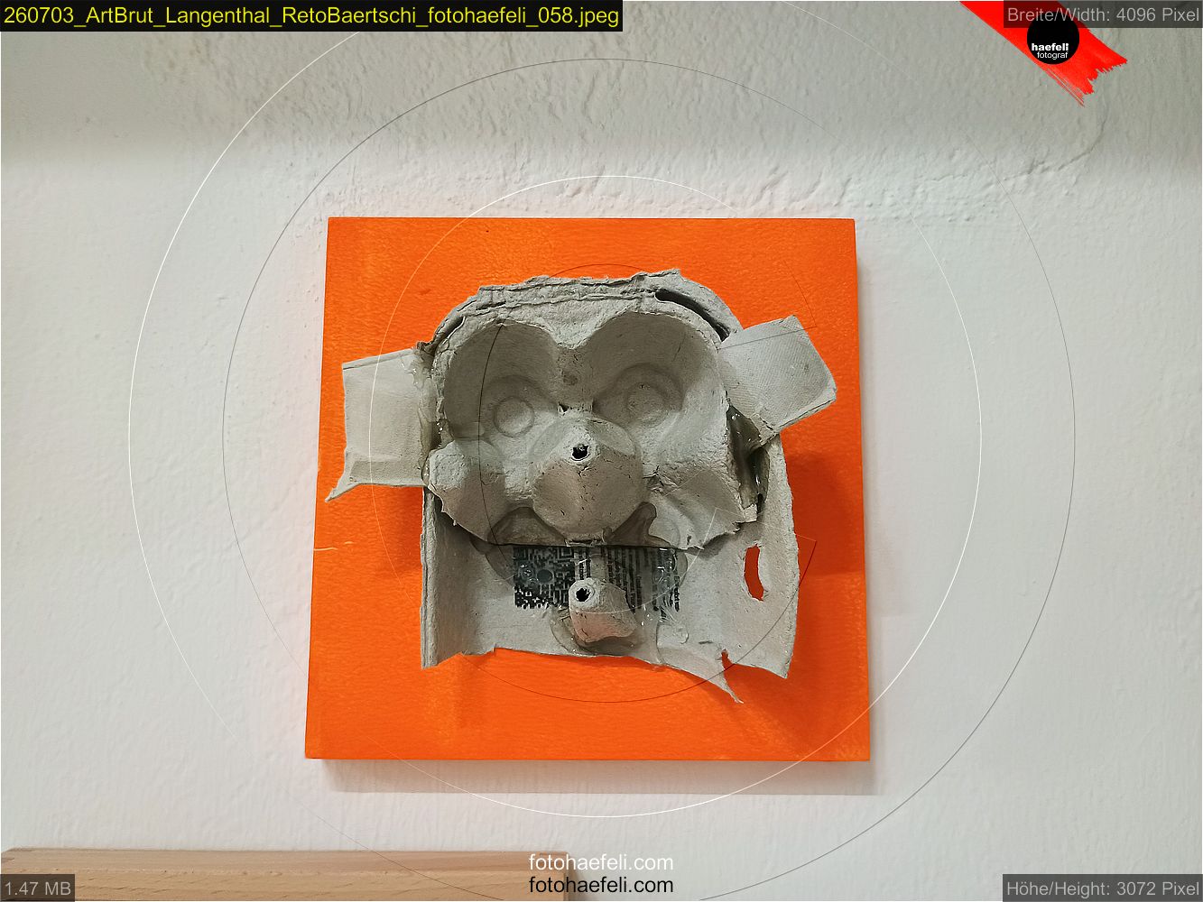 260703_ArtBrut_Langenthal_RetoBaertschi_fotohaefeli_058.jpeg