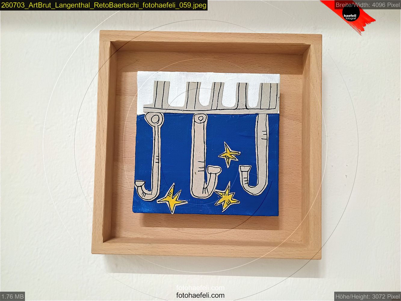 260703_ArtBrut_Langenthal_RetoBaertschi_fotohaefeli_059.jpeg