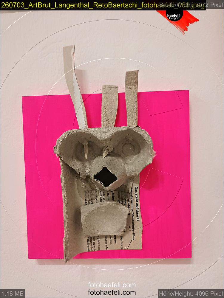 260703_ArtBrut_Langenthal_RetoBaertschi_fotohaefeli_066.jpeg