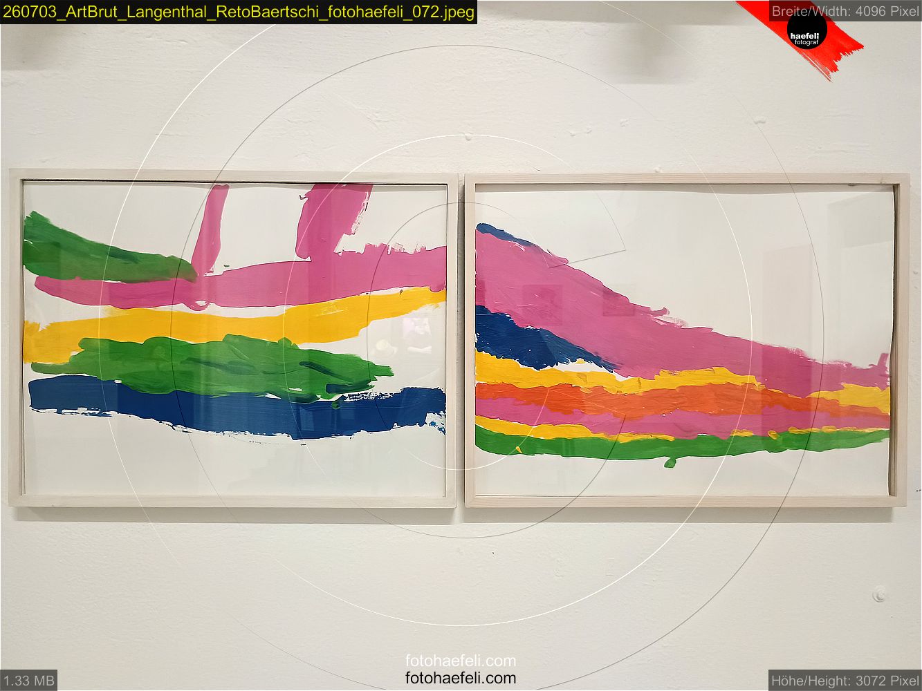 260703_ArtBrut_Langenthal_RetoBaertschi_fotohaefeli_072.jpeg