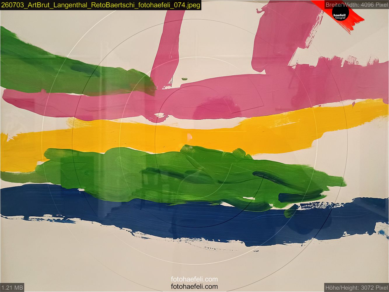 260703_ArtBrut_Langenthal_RetoBaertschi_fotohaefeli_074.jpeg