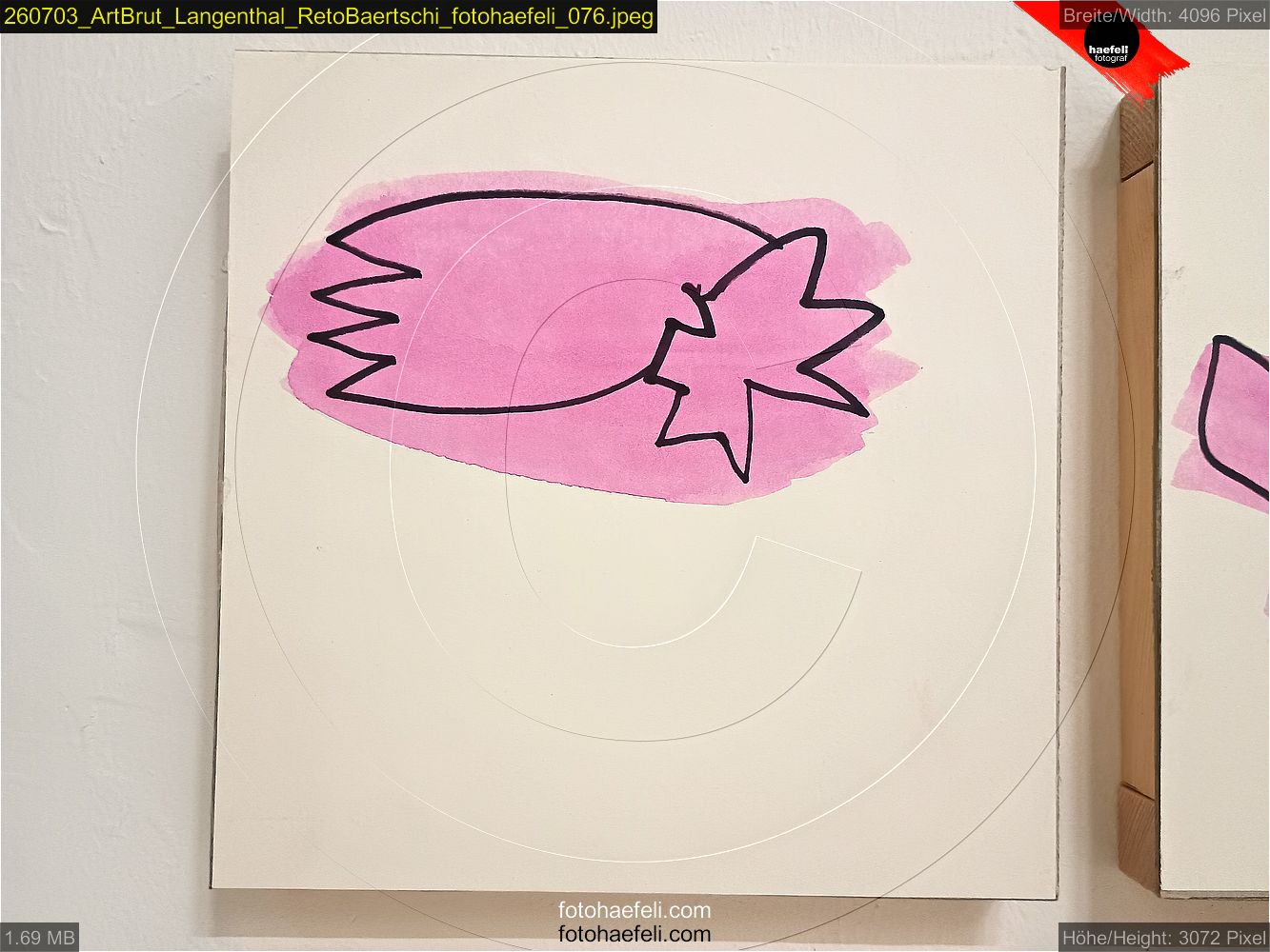 260703_ArtBrut_Langenthal_RetoBaertschi_fotohaefeli_076.jpeg