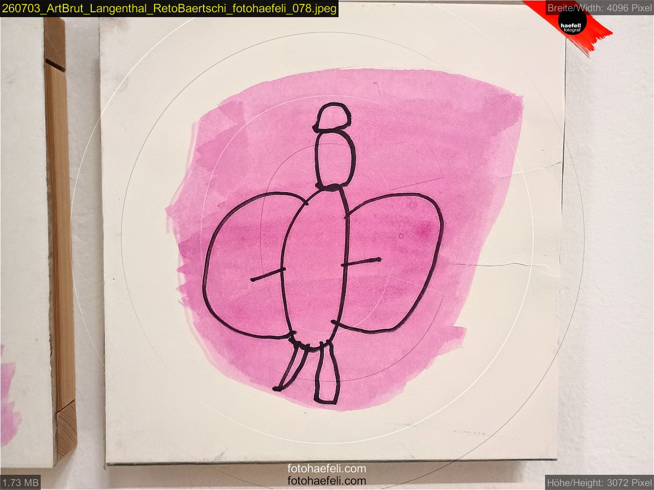260703_ArtBrut_Langenthal_RetoBaertschi_fotohaefeli_078.jpeg