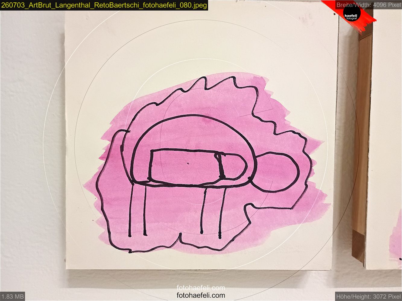 260703_ArtBrut_Langenthal_RetoBaertschi_fotohaefeli_080.jpeg