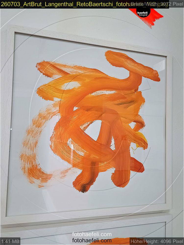 260703_ArtBrut_Langenthal_RetoBaertschi_fotohaefeli_102.jpeg