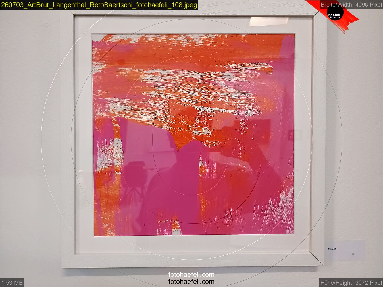 260703_ArtBrut_Langenthal_RetoBaertschi_fotohaefeli_108.jpeg