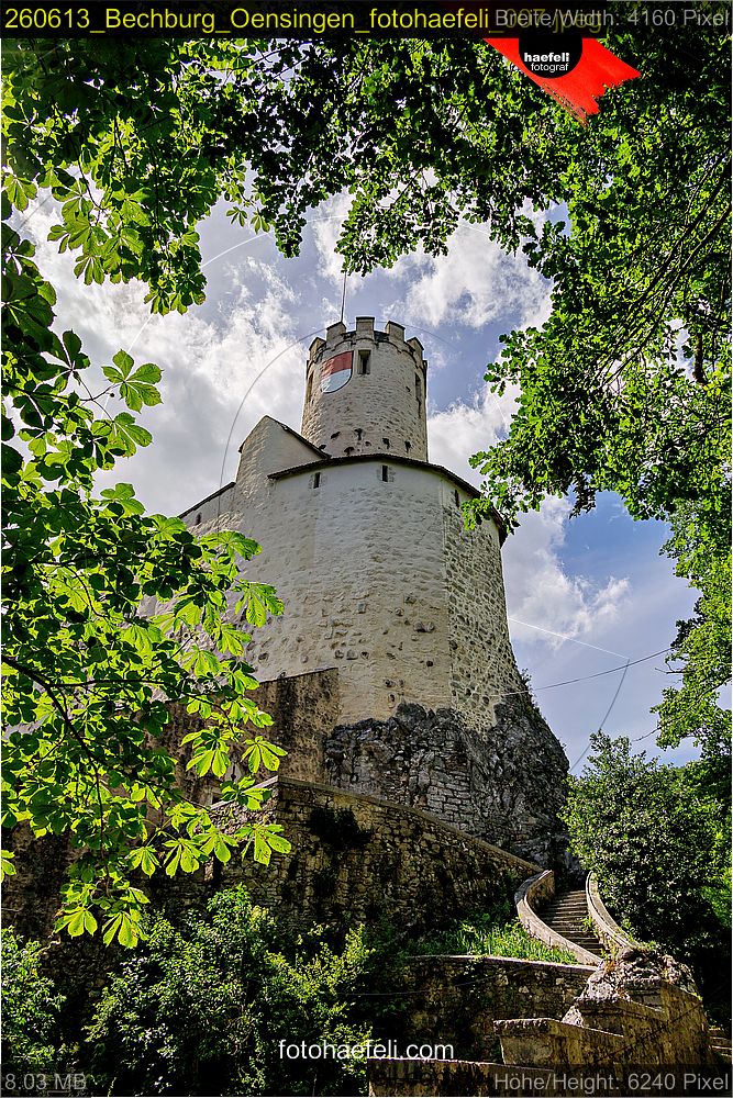 260613_Bechburg_Oensingen_fotohaefeli_007.jpeg