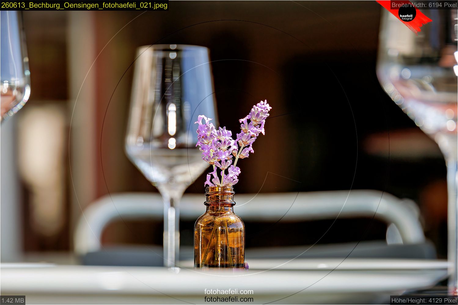 260613_Bechburg_Oensingen_fotohaefeli_021.jpeg