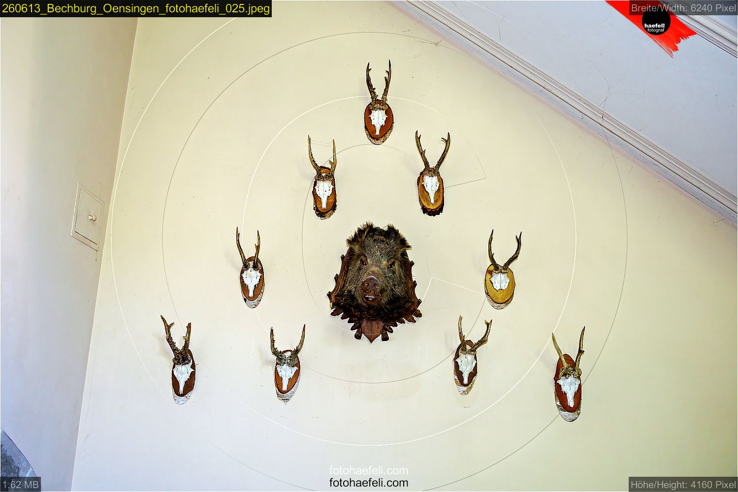 260613_Bechburg_Oensingen_fotohaefeli_025.jpeg