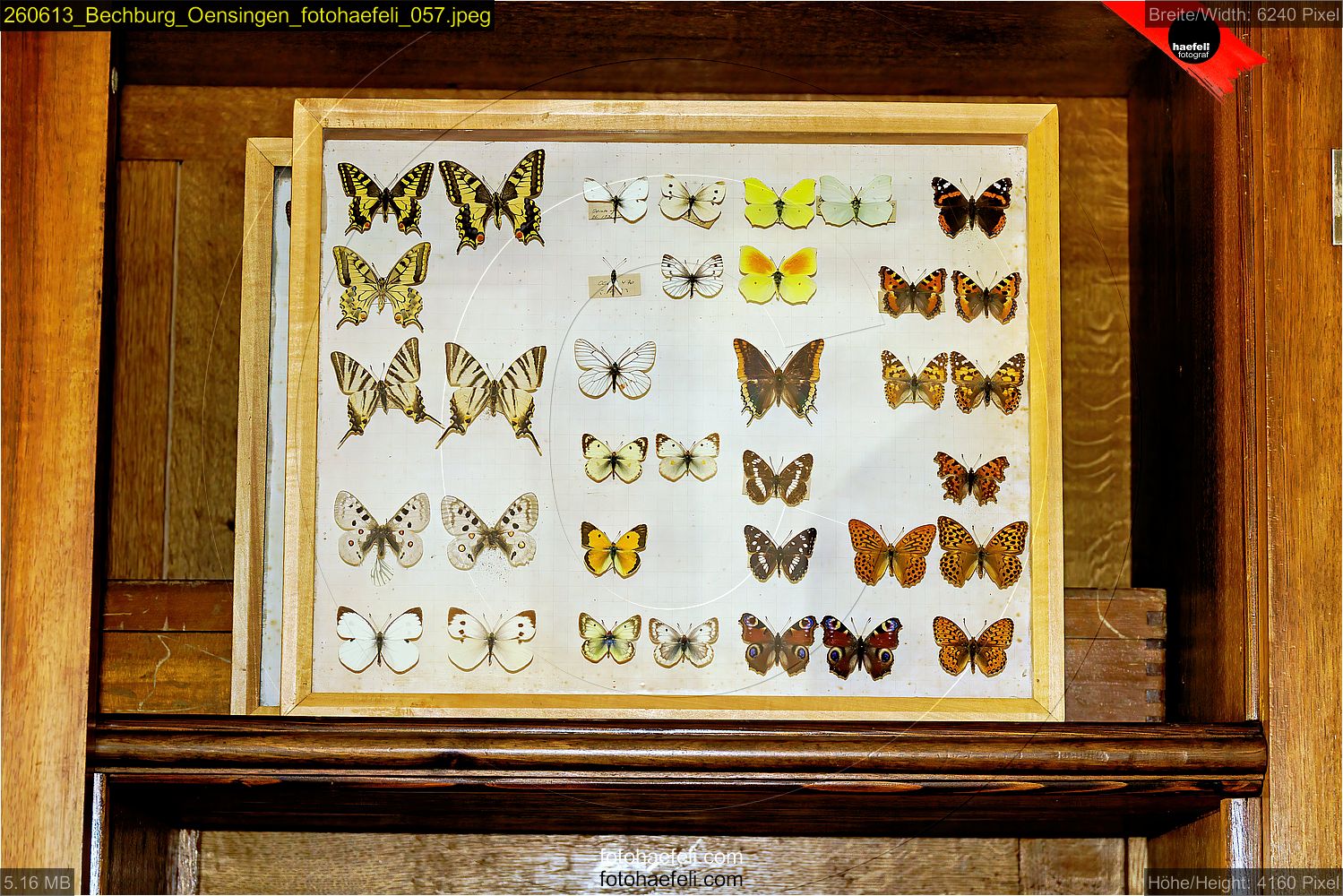 260613_Bechburg_Oensingen_fotohaefeli_057.jpeg
