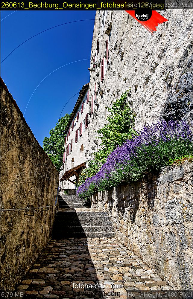 260613_Bechburg_Oensingen_fotohaefeli_126.jpeg