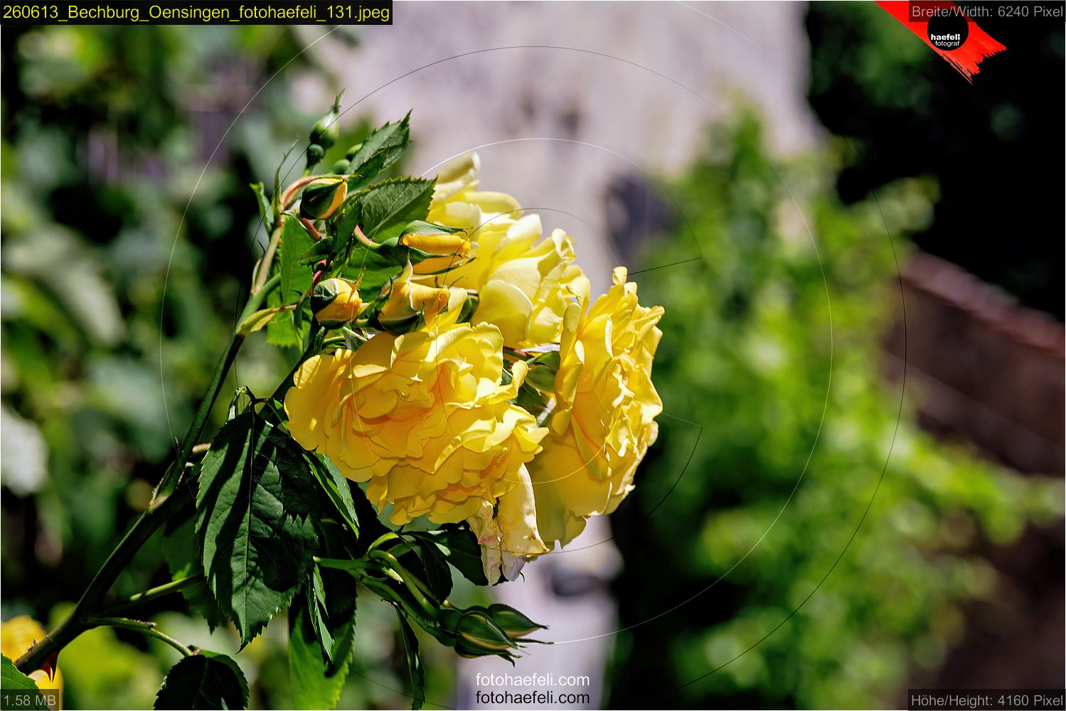 260613_Bechburg_Oensingen_fotohaefeli_131.jpeg