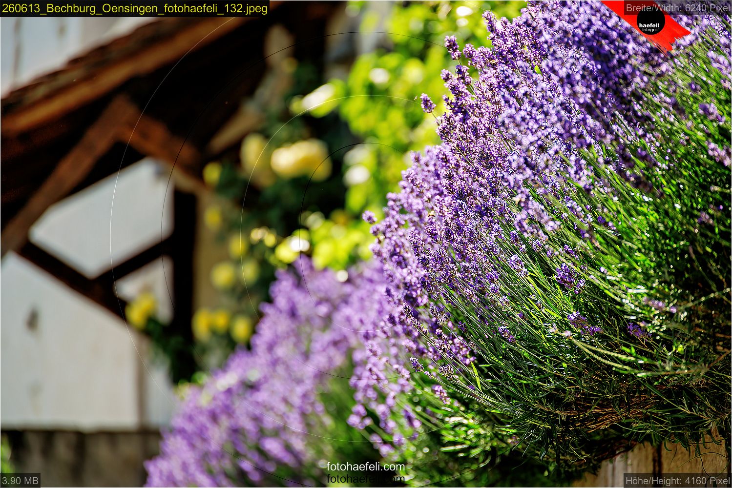 260613_Bechburg_Oensingen_fotohaefeli_132.jpeg