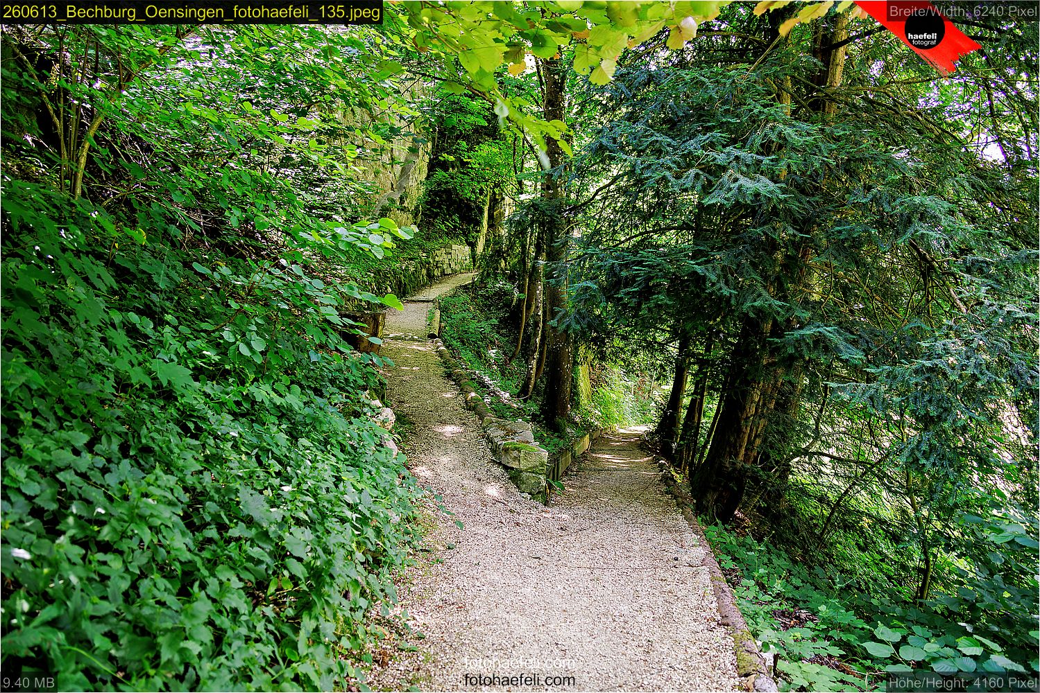 260613_Bechburg_Oensingen_fotohaefeli_135.jpeg