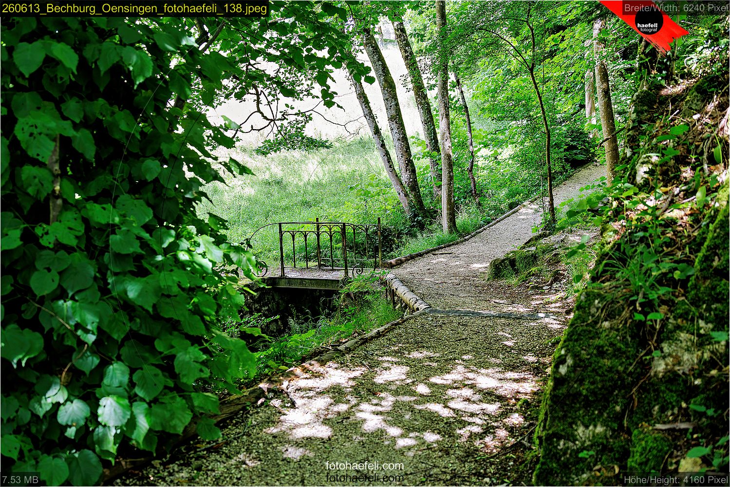 260613_Bechburg_Oensingen_fotohaefeli_138.jpeg