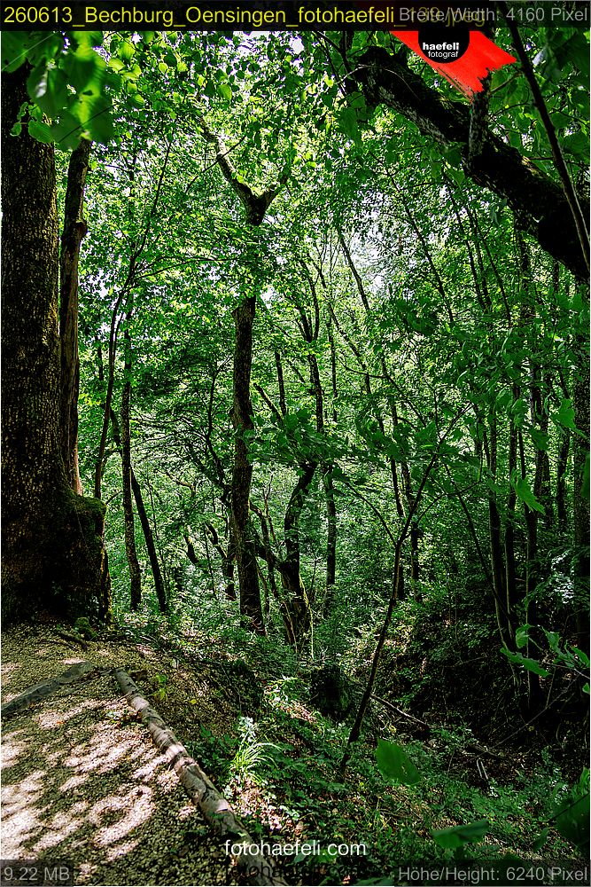 260613_Bechburg_Oensingen_fotohaefeli_139.jpeg