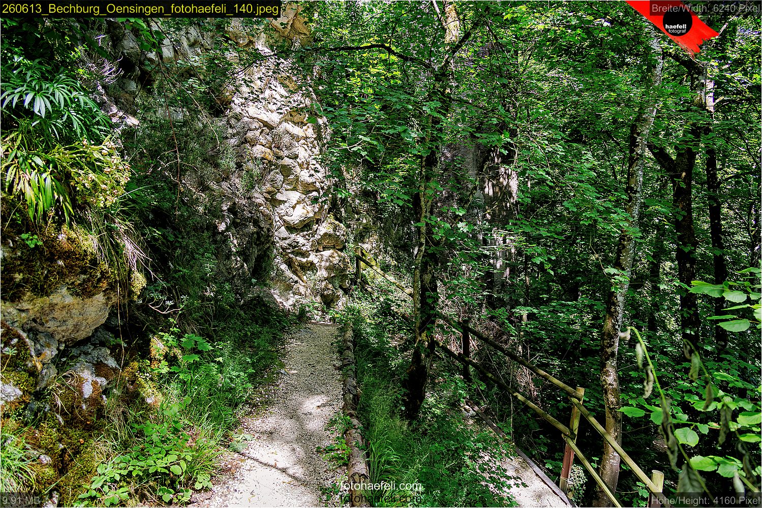 260613_Bechburg_Oensingen_fotohaefeli_140.jpeg