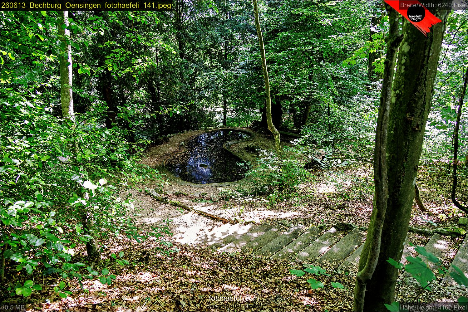 260613_Bechburg_Oensingen_fotohaefeli_141.jpeg