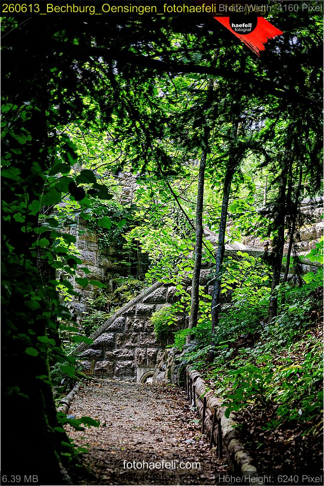 260613_Bechburg_Oensingen_fotohaefeli_142.jpeg