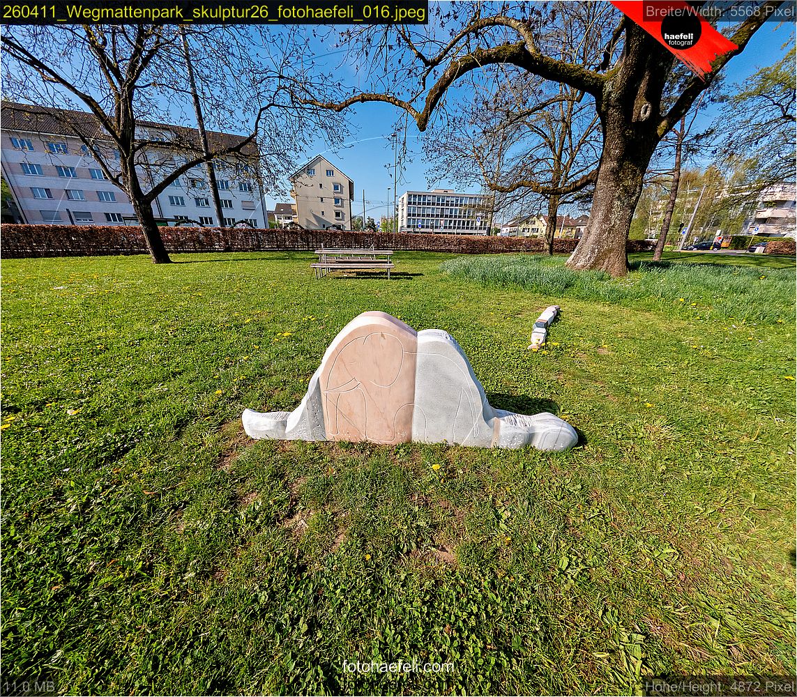 260411_Wegmattenpark_skulptur26_fotohaefeli_016.jpeg