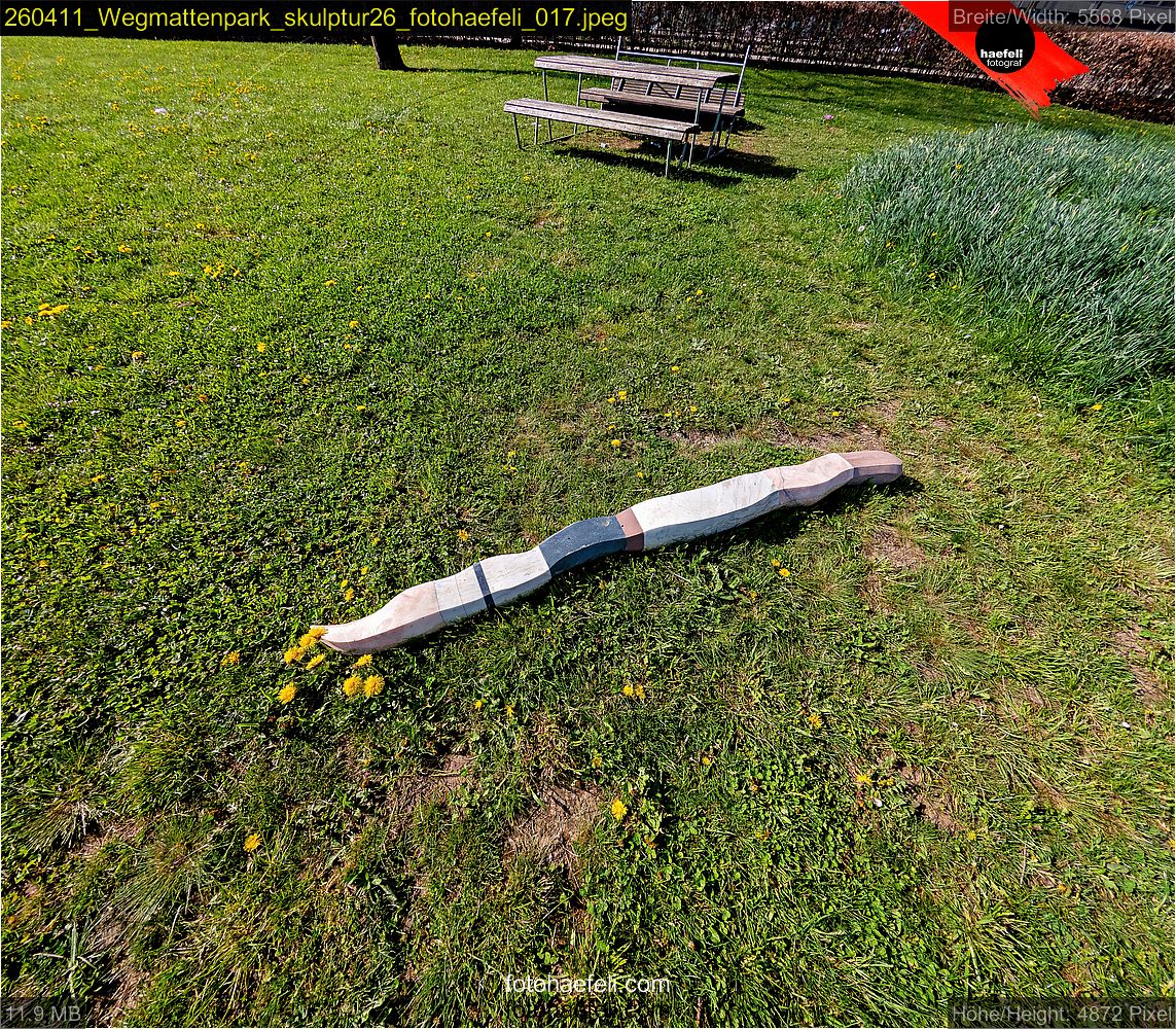 260411_Wegmattenpark_skulptur26_fotohaefeli_017.jpeg