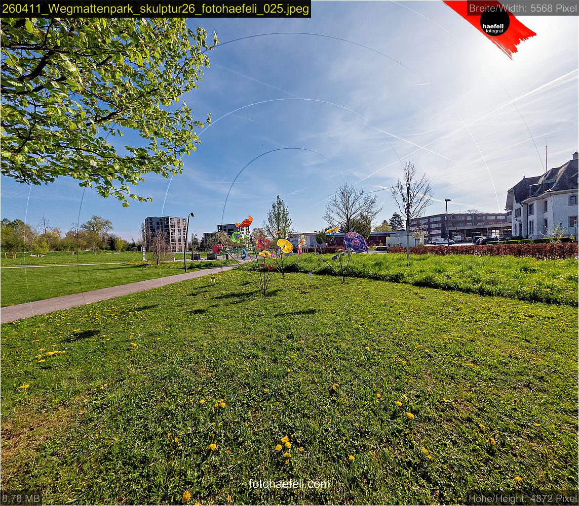 260411_Wegmattenpark_skulptur26_fotohaefeli_025.jpeg