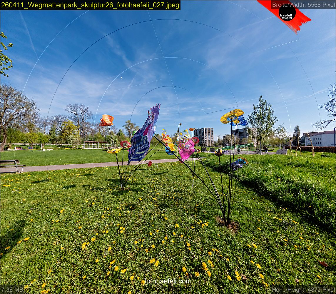 260411_Wegmattenpark_skulptur26_fotohaefeli_027.jpeg